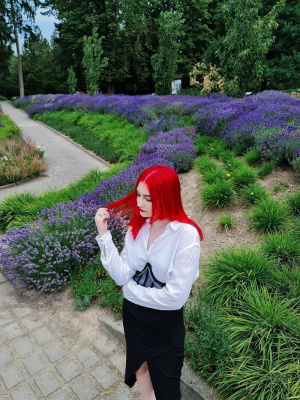 petal, flower, garden