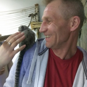 hand, ear, cat