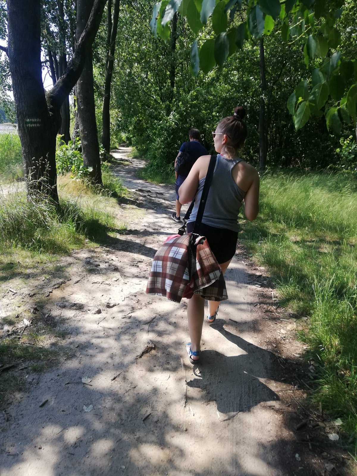 leisure, vacation, forest, jungle
