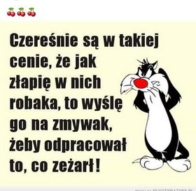 Najładniejsze zdjęcie użytkownika PiotrLeszczynski74 - 
