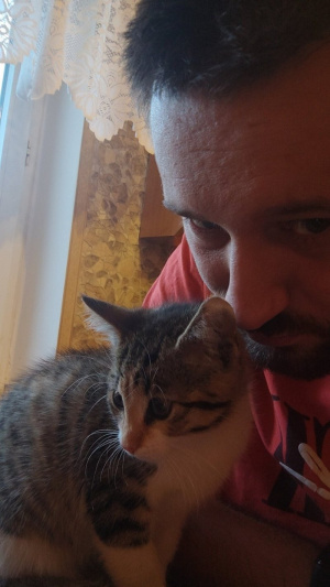 mouth, skin, ear, cat, pet