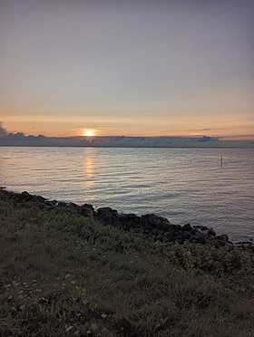 Najładniejsze zdjęcie użytkownika tomek11107 - 