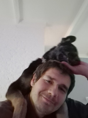 selfie, fun, ear, dog, cat