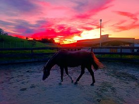 Najładniejsze zdjęcie użytkownika VaniliaStar - 