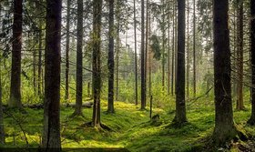 Najładniejsze zdjęcie użytkownika kasia2502884 - 