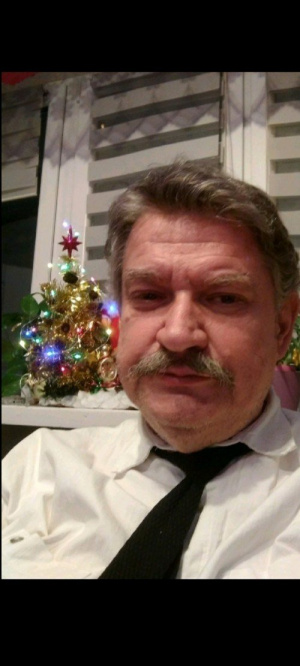 fun, christmas