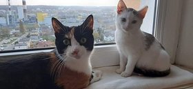 Najładniejsze zdjęcie użytkownika Garsija87 - 