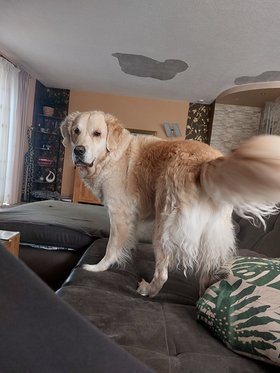 Najładniejsze zdjęcie użytkownika Rami1608 - 