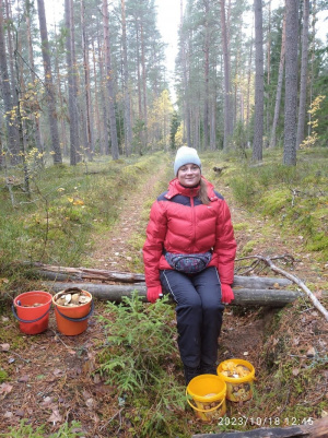 forest