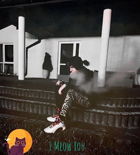 Najładniejsze zdjęcie użytkownika Provige - 