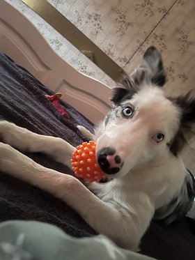 Najładniejsze zdjęcie użytkownika Pablo1984r - 