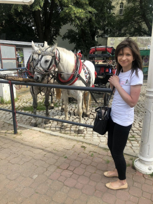 vehicle, horse, bridle, rein