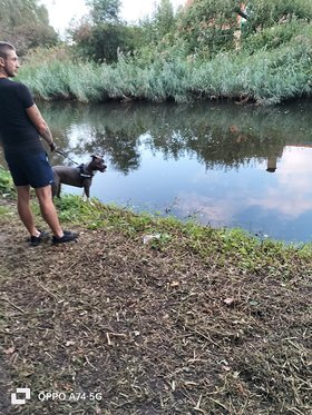 Najładniejsze zdjęcie użytkownika BartoszMichalak110 - 