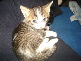 Najładniejsze zdjęcie użytkownika monisiazabrzee - 