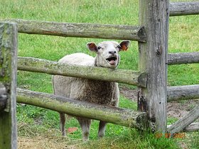 Najładniejsze zdjęcie użytkownika makul - 