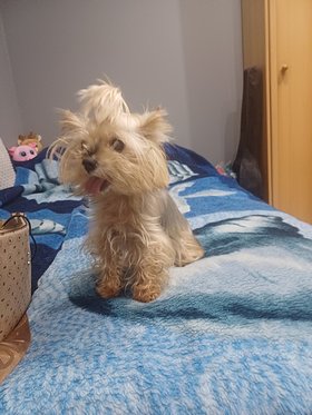 Najładniejsze zdjęcie użytkownika tadeuszjernanczyk5 - 