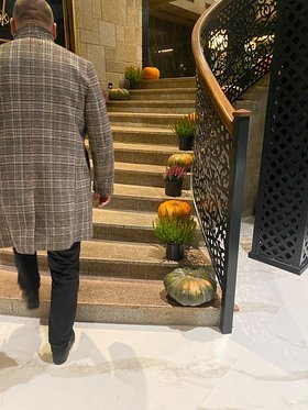 Najładniejsze zdjęcie użytkownika DarekJonski - 