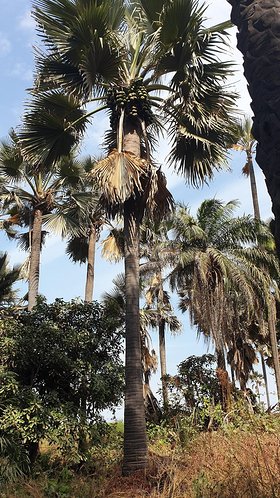 Najładniejsze zdjęcie użytkownika grzegorzdavid - 