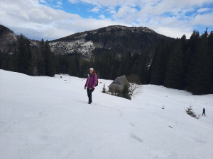 fun, mountain