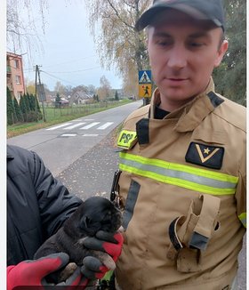 Najładniejsze zdjęcie użytkownika Marco8484 - 