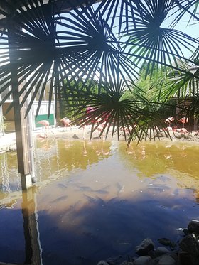 Najładniejsze zdjęcie użytkownika pietrzakagnieszk43 - 