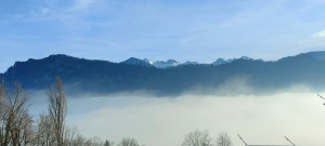 sky, forest, mountain, fog