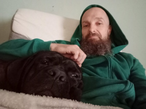 hair, beard, dog, cat, moustache