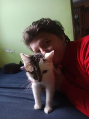 mouth, ear, cat, pet