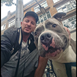 selfie, cool, dog