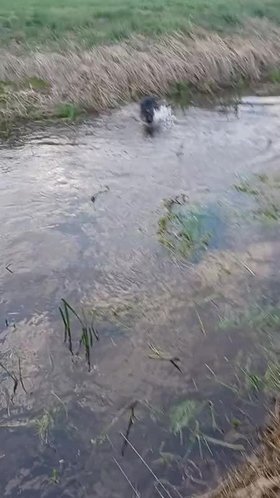 Najładniejsze zdjęcie użytkownika Abcf - 