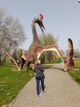 Najładniejsze zdjęcie użytkownika BB29 - 