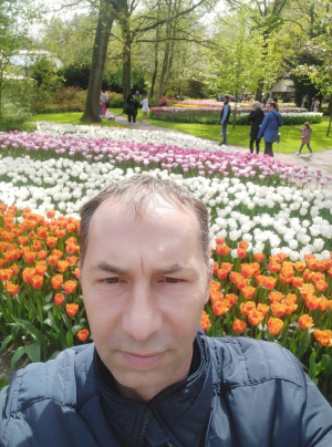 petal, plant, flower, garden