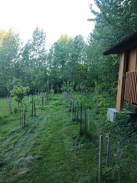 Najładniejsze zdjęcie użytkownika BlaszczykDo - 