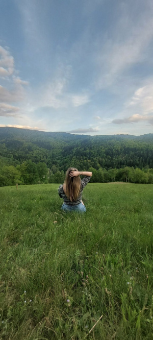 field, sky, prairie