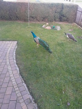 Najładniejsze zdjęcie użytkownika kolekcjonerka