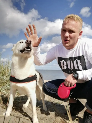 hand, dog, pet