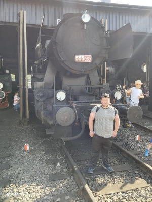 vehicle, train