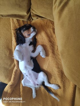 Najładniejsze zdjęcie użytkownika damianwasik1 - 