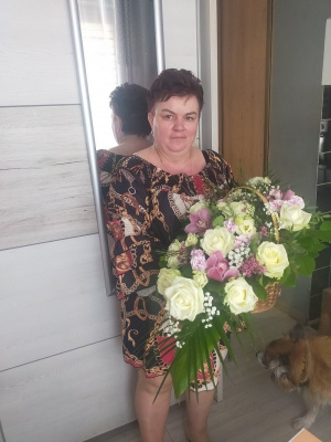 dress, dog, petal, plant, flower