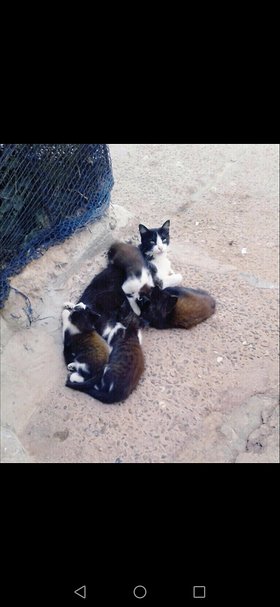 Najładniejsze zdjęcie użytkownika jonimadimad