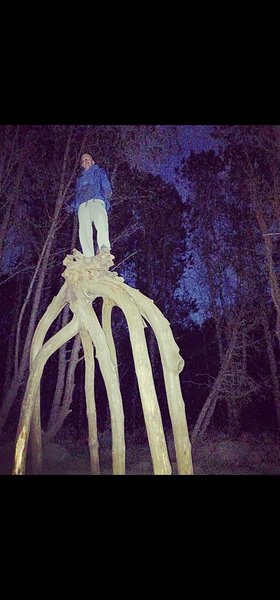 Najładniejsze zdjęcie użytkownika koxnamax111998