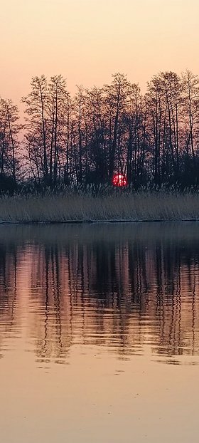 Najładniejsze zdjęcie użytkownika rojal2 - 