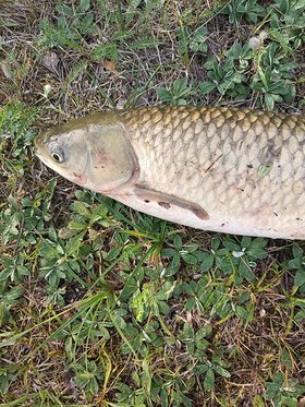 Najładniejsze zdjęcie użytkownika KamilPawluszuk - 