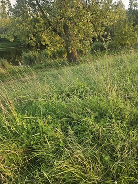 Najładniejsze zdjęcie użytkownika Robertoo123 - 