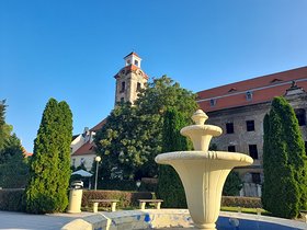 Najładniejsze zdjęcie użytkownika gupi - 