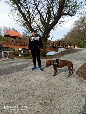 Najładniejsze zdjęcie użytkownika Fason1312 - 