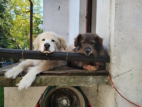 Najładniejsze zdjęcie użytkownika fuegoturbo - 