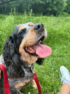 Najładniejsze zdjęcie użytkownika RogalM - 
