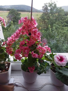 Najładniejsze zdjęcie użytkownika Gosiuni - 