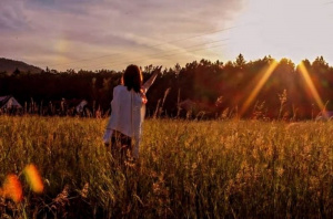 field, sky, prairie